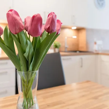 Apartment Strandvilla Augustusbad Unter'm Ostseestern